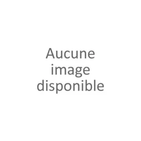 Ballerines confort femme bronze (37-42)