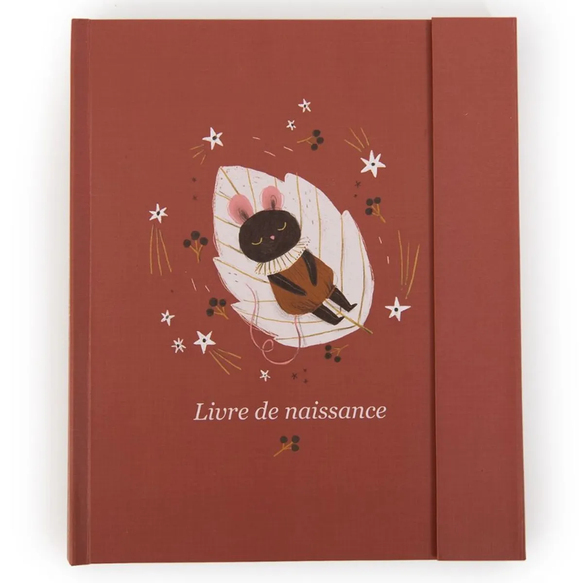 Livre de Naissance - Après la Pluie